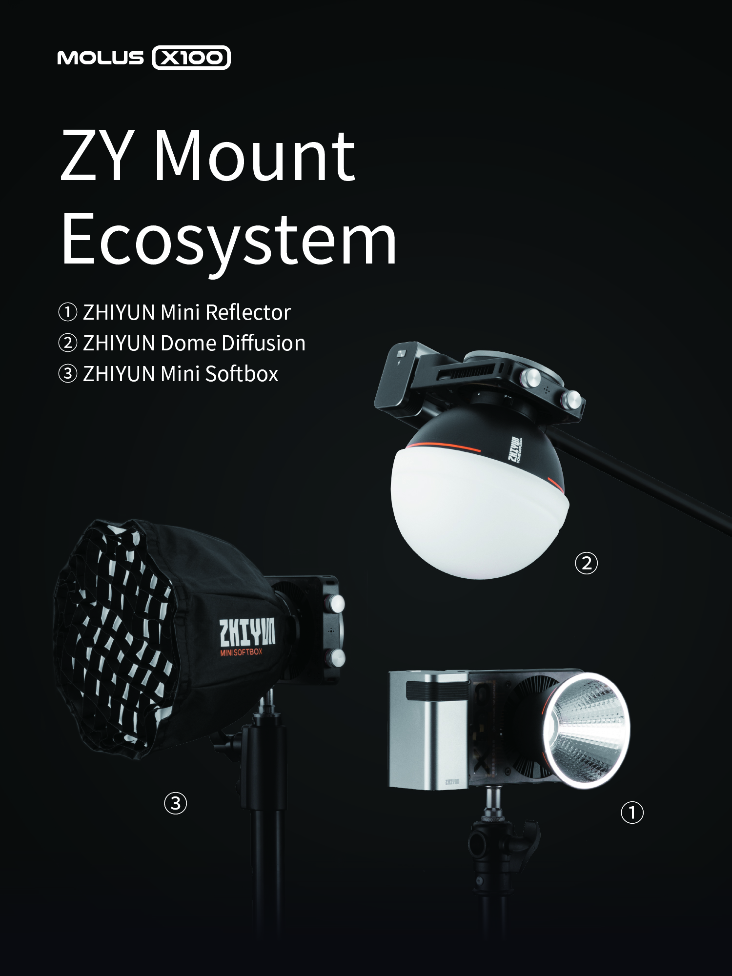 10-ZY Mount Ecosystem